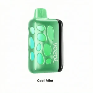Cool Mint - Vozol Rave 50000 Disposable