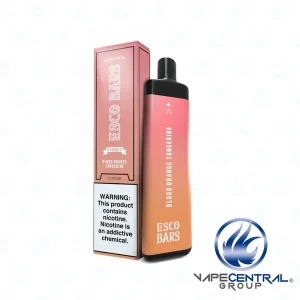 Esco Bars 5000 Puffs | Rechargeable Disposable Vape