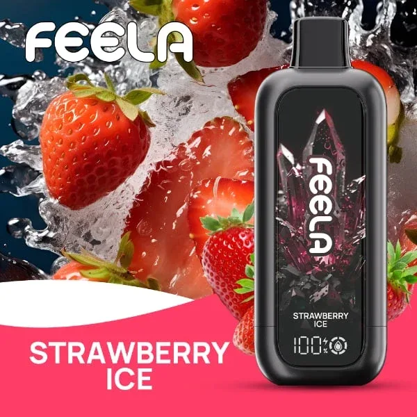 FEELA NIC 40K Disposable Vape - Image 2