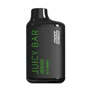 Icy Mint - Juicy Bar JB5000 Disposable