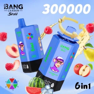 New Bang Leader 300K Puffs 300000 6 In 1 Vape – 65ml Capacity, 0%/2%/5% Nicotine,12 Flavors Bang Stoll