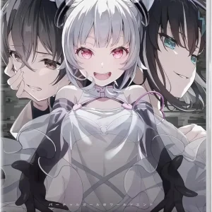 Paladin Innovation Virtual Girl at World's End Nintendo Switch Game