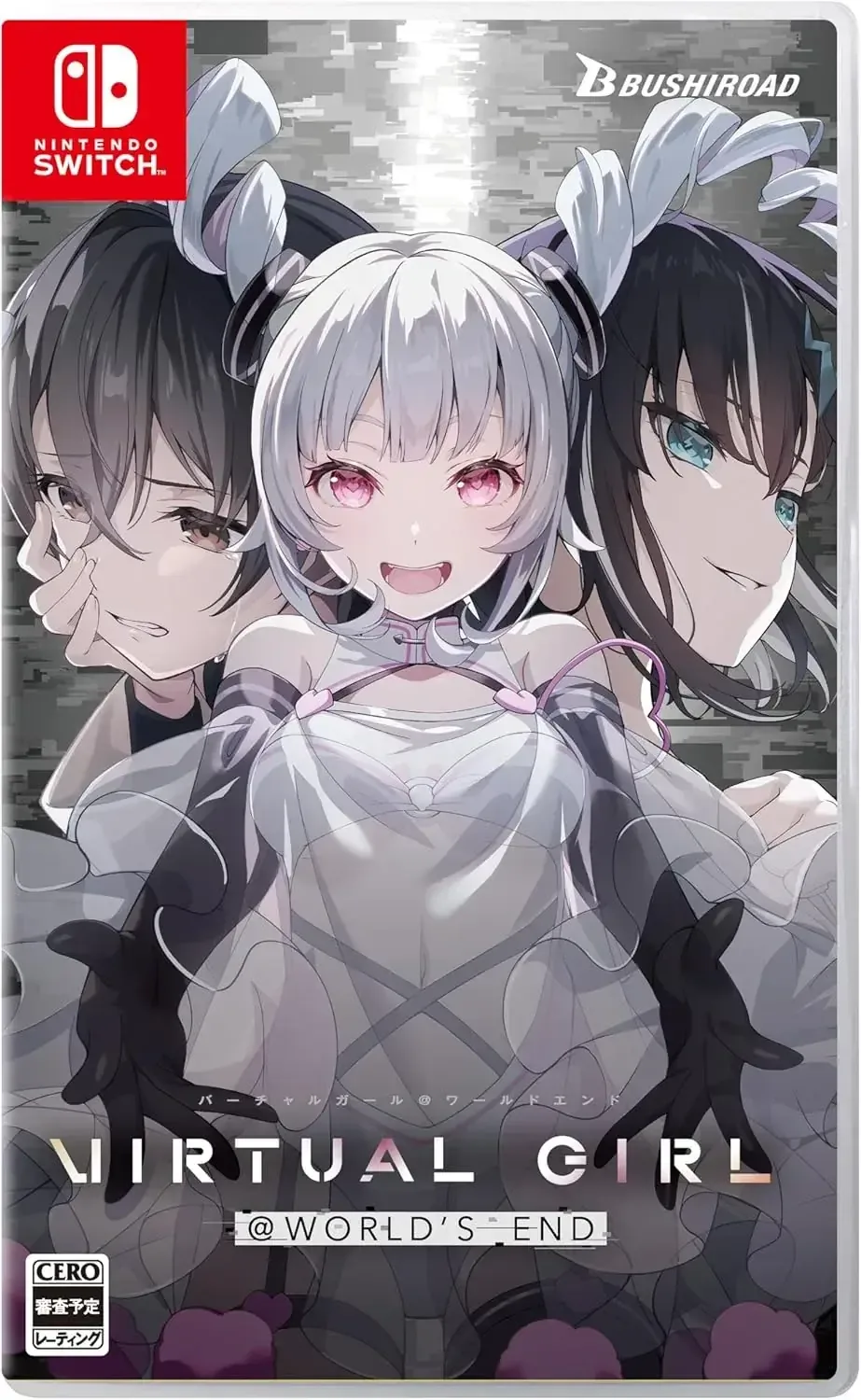 Paladin Innovation Virtual Girl at World's End Nintendo Switch Game
