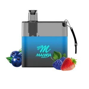 Mamba Rechargeable Disposable Vape Pen - Starting at $4.95 - 3500 PUFFS