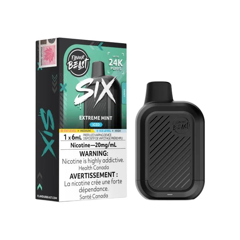 Flavour Beast SIX 24K Disposable Vape - Extreme Mint Iced