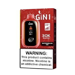 GINI GN30000 Disposable Vape