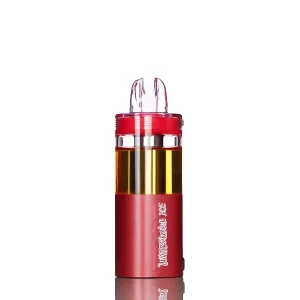 INTO 50,000 Puffs Disposable Pod (Foger Switch Pro Compatible)