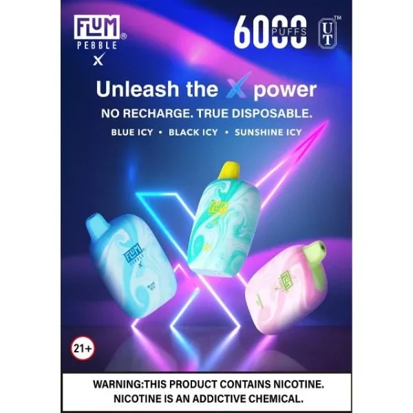 Flum Pebble X 6000 Puffs Disposable
