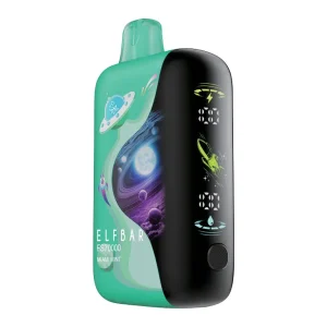 Elf Bar FS70K Disposable Vape Device - Miami Mint 20ml