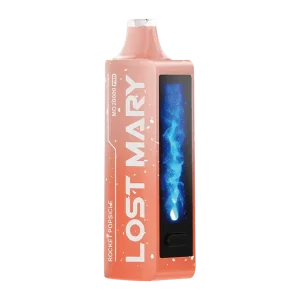 Lost Mary MO20000 Pro Disposable