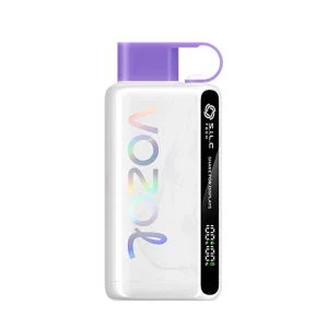 Vozol Star 12000 Disposable Vape