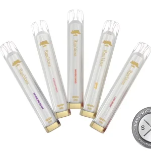 Ripe Vapes BIRCH Disposable | 800 Puffs