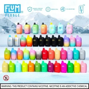 Flum Pebble 6000 Puffs Rechargeable Single Disposable