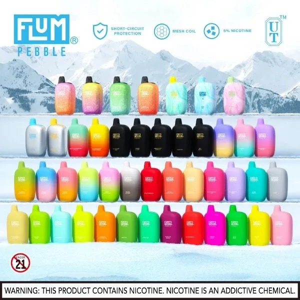 Flum Pebble 6000 Puffs Rechargeable Single Disposable