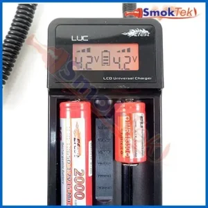 eFest LUC Multi-function Smart Charger with Car Adapter