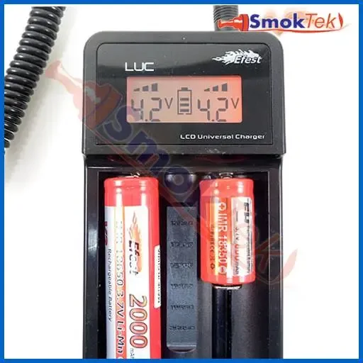eFest LUC Multi-function Smart Charger with Car Adapter
