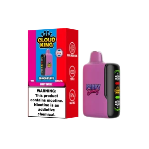 Cloud King CK20000 Disposable