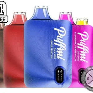 Puffmi Dura 9000 Disposable Vape