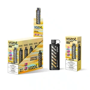Vozol Gear Shisha Disposable Mango Freeze