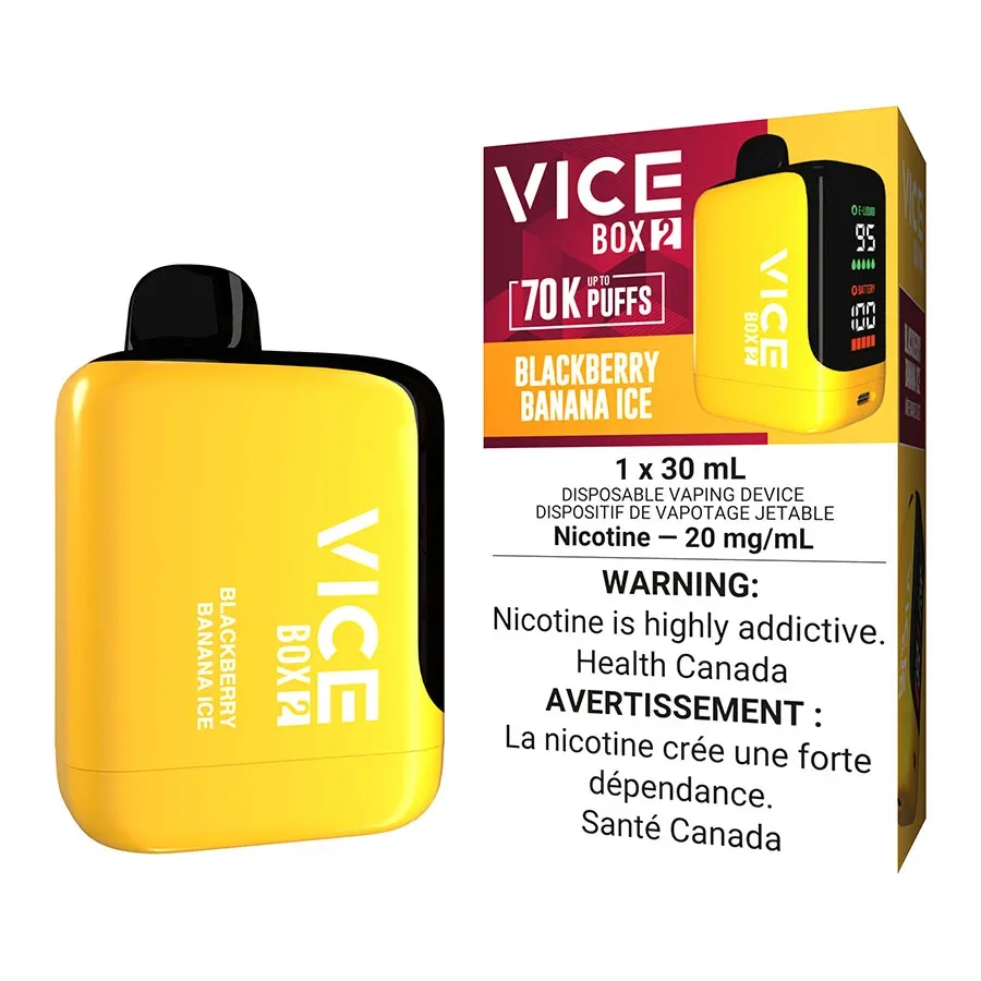 Vice Box 2 Disposable Vape Device - Blackberry Banana Ice