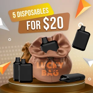 Lucky Bag - Disposable # 04