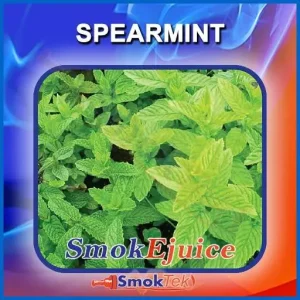Spearmint SmokEjuice, Premium Natural E-Liquid
