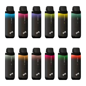 JUUCY Model Q Disposable Device - 5500 Puffs