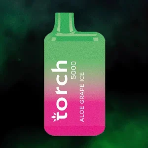 Torch 5000 Puffs Disposable Salt Nic Vape - EB Design