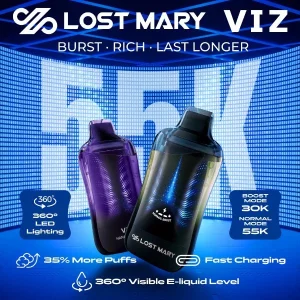 Lost Mary VIZ 55,000 Puffs Disposable
