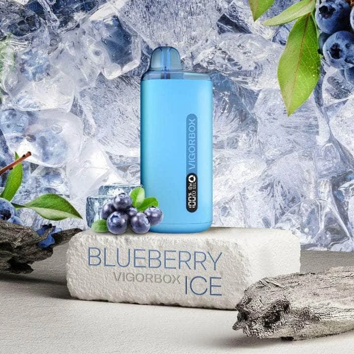 Vigorbox Aladdin 10000+ 5% Rechargeable Disposable Clearance