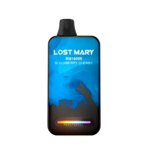 Lost Mary Vape BM16000