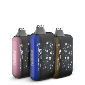 FEEN 2% 50k Puffs Disposable Vape