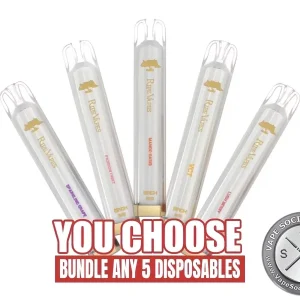 [5-Pack] Ripe Vapes Birch Bundle
