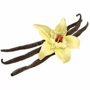 FLAVOUR ART – VANILLA TAHITI – DIY FLAVORING CONCENTRATE