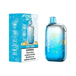 Foger Bit 35K 5% Rechargeable Disposable