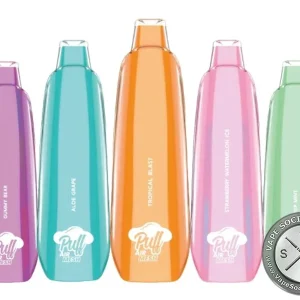 PUFF AIR MESH PUFF BRANDS DISPOSABLE 3000 PUFF