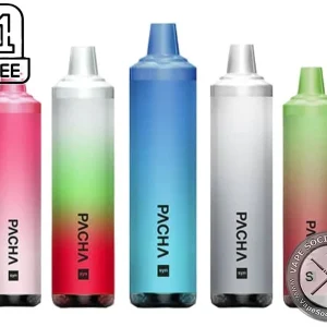PACHA Disposable 3000 Puffs