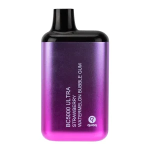 Strawberry Watermelon Bubble Gum BC5000 Ultra - Vapeoutletus Online Vape Store