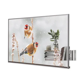 Transparent OLED Display